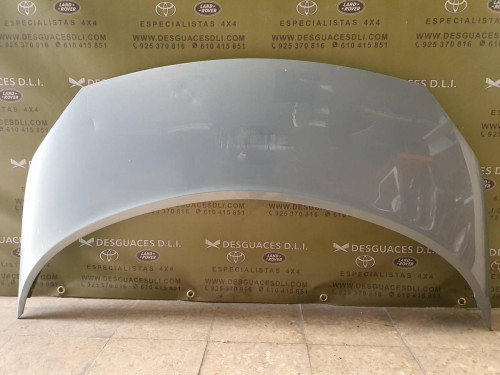 CAPO Renault SCENIC II (JM) 