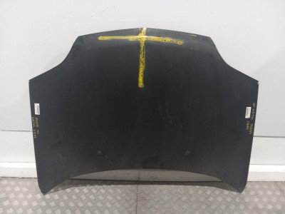 CAPO, NISSAN, X-TRAIL (T30)