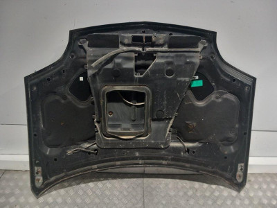 CAPO, NISSAN, X-TRAIL (T30)