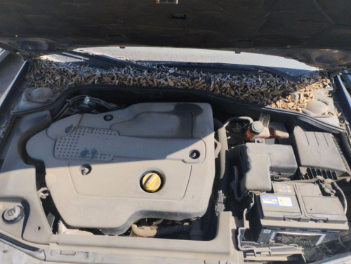 RENAULT LAGUNA II GRANDTOUR (KG0), RENAULT, LAGUNA II GRANDTOUR (KG0)