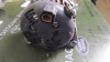 ALTERNADOR LAND ROVER RANGE ROVER EVOQUE 