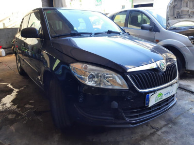 SKODA FABIA (5J2)