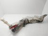 DEPOSITO LIMPIA Ford C-MAX (CB3)(2007) 