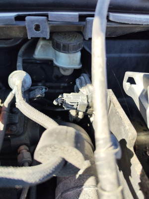 BOMBA FRENO, FORD, FOCUS CABRIO (CA5)