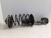 AMORTIGUADOR DELANTERO IZQUIERDO Renault R 5 (B/C40) 