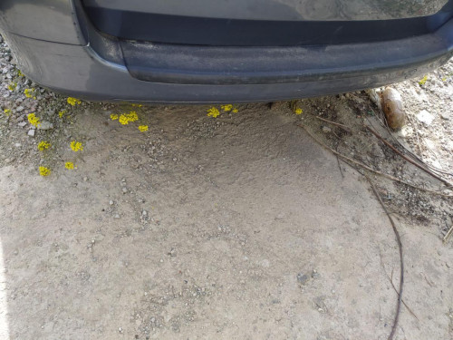 REFUERZO PARAGOLPES TRASERO PEUGEOT 307 BREAK/ SW (S2) 