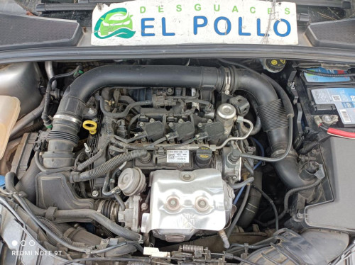  FORD FOCUS BERLINA (CEW) 