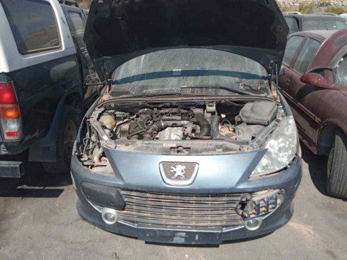  PEUGEOT 307 BREAK/ SW (S2) 