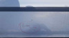 PUERTA DELANTERA DERECHA Seat LEON (1M1) 