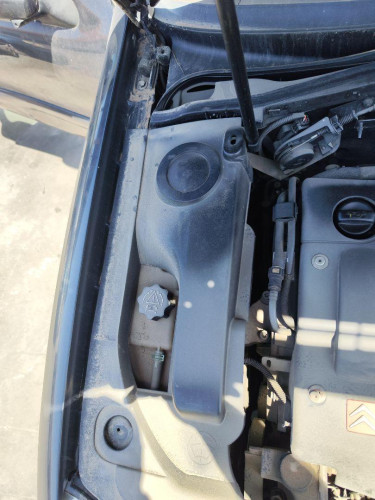 DEPOSITO LIMPIA Citroen XSARA BERLINA 