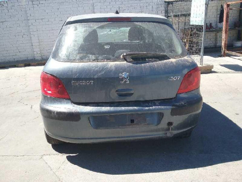  PEUGEOT 307 BERLINA (S2) 