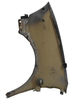 ALETA DELANTERA DERECHA, SEAT, IBIZA (6L1)