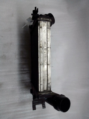  INTERCOOLER NISSAN QASHQAI (J11E) 