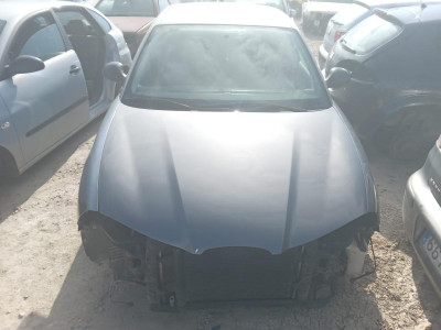 SEAT IBIZA (6L1)