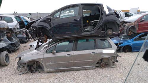  PEUGEOT 307 BREAK / SW (S1)(04.2002) 