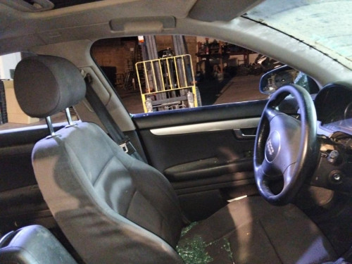 GOMAS CONTORNO PUERTA AUDI A4 BERLINA (8E) 