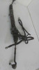  CREMALLERA DIRECCION BMW SERIE X5 (E53) 