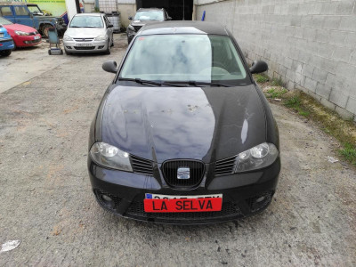 SEAT IBIZA (6L1)