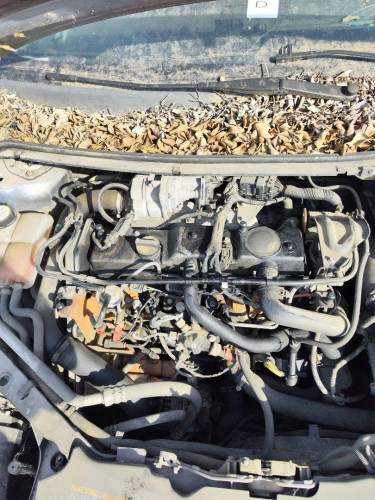  FORD FOCUS BERLINA (CAP) 