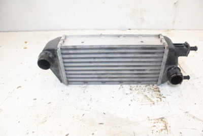 INTERCOOLER, Lancia, YPSILON (402)