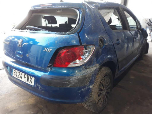  PEUGEOT 307 BERLINA (S2) 