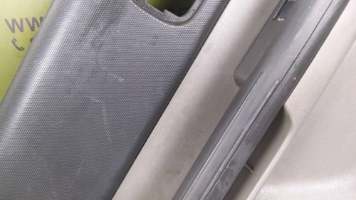 GUARNECIDO PUERTA TRASERA IZQUIERDA Nissan X-TRAIL (T30) 