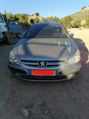 PEUGEOT 607 (S1)(12.2000)