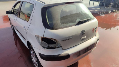  PEUGEOT 307 BERLINA (S2) 