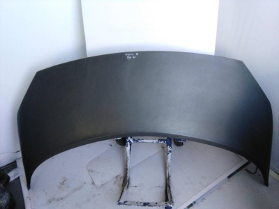 CAPO, RENAULT, SCENIC II (JM)