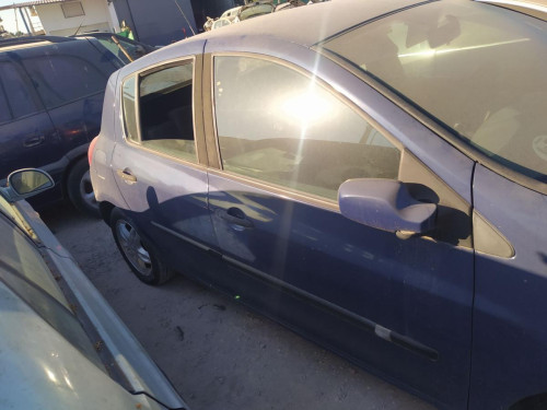  LUNA DELANTERA DERECHA Renault CLIO III 