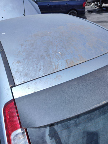 TECHO Ford FOCUS BERLINA (CAP) 