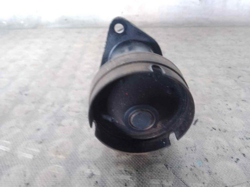 POLEA ALTERNADOR FORD FOCUS BERLINA (CAK) 