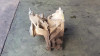 CAJA CAMBIOS Ford Focus Berlina (CAK)(1998->) FORD Focus Berlina (CAK)(1998->) 