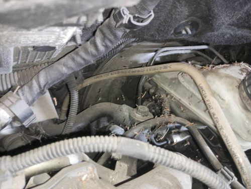 SERVOFRENO Fiat LINEA (110) 