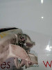  LUZ CENTRAL DE FRENO MAZDA 3 BERLINA (BK) 