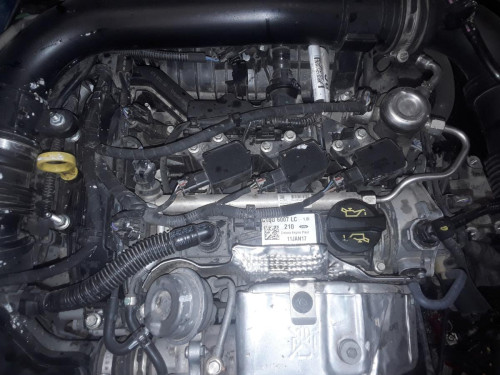  FORD ECOSPORT (CBW) 