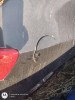TAPA EXTERIOR COMBUSTIBLE Seat IBIZA BERLINA (6J5) 
