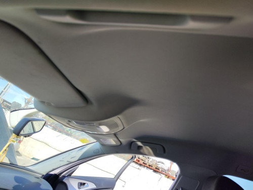 TECHO INTERIOR Audi A6 AVANT (4GD) 