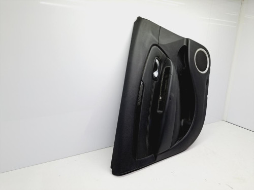 GUARNECIDO PUERTA DELANTERA IZQUIERDA RENAULT SCENIC III (JZ) 