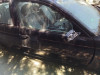 PUERTA DELANTERA DERECHA BMW SERIE 3 BERLINA (E46) 