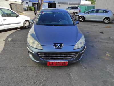 PEUGEOT 407