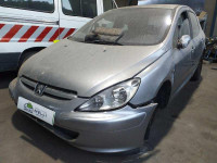 PEUGEOT 307 (S1)(04.2001)