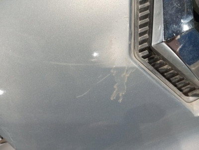 PARAGOLPES DELANTERO, RENAULT, VEL SATIS (BJ0)