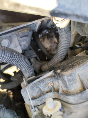 BOMBA DIRECCION, SEAT, CORDOBA BERLINA (6L2)