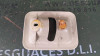 NO IDENTIFICADO Toyota LAND CRUISER (J12) 