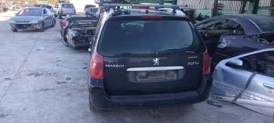PEUGEOT 307 BREAK / SW (S1)(04.2002)