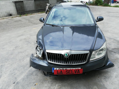 SKODA OCTAVIA COMBI (1Z5)