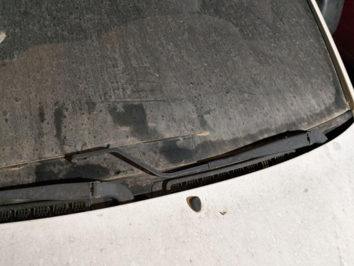 BRAZO LIMPIA DELANTERO IZQUIERDO Peugeot EXPERT FURGÓN COMFORT (1995) 