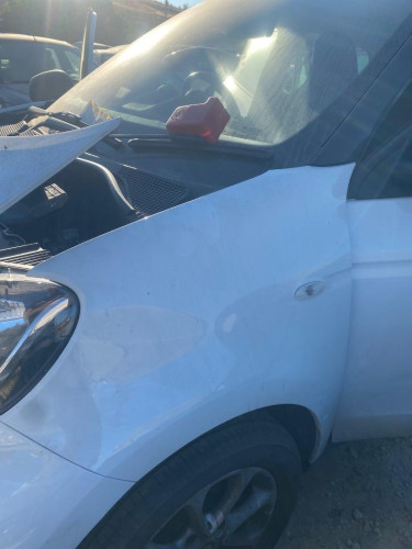 ALETA DELANTERA IZQUIERDA SMART FORFOUR 