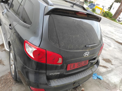 HYUNDAI SANTA FE (CM)